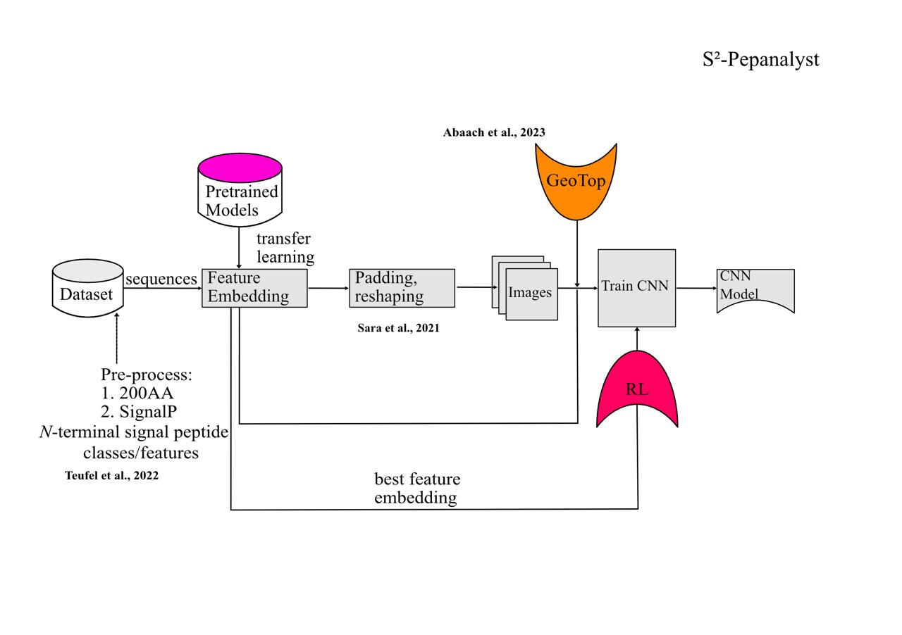 S2-PEPANALYST System Diagram